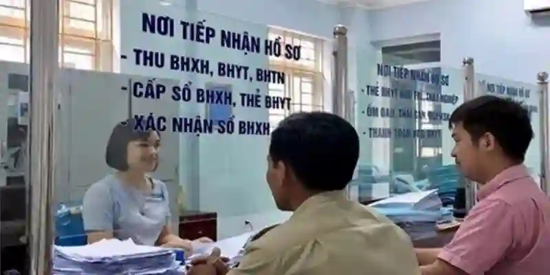 Hỗ trợ tư vấn, giới thiệu việc làm