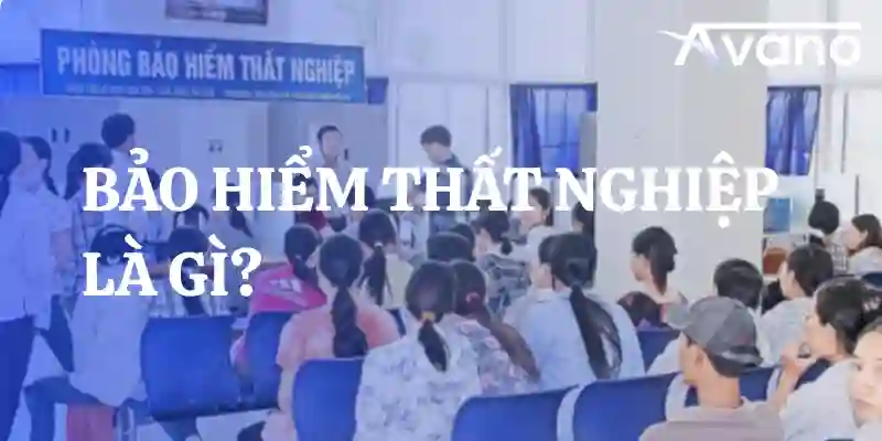 Bảo hiểm thất nghiệp là gì? Quy định, quyền lợi & thủ tục chi tiết